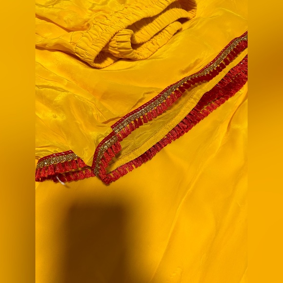 Punjabi palazzo suit - Picture 10 of 10